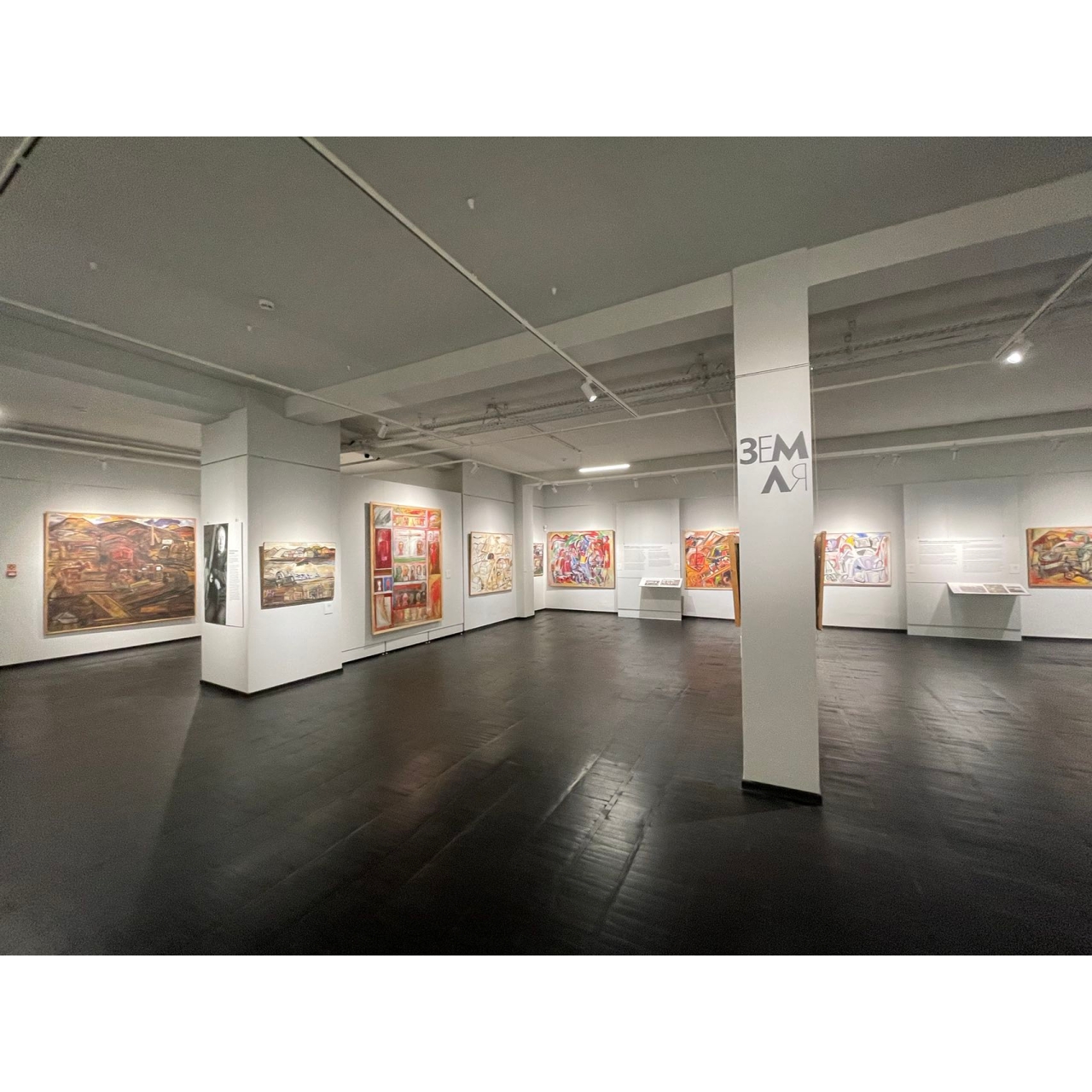 Museum Lighting Project in Russia: Flexible LED Track Lighting for Art Displays