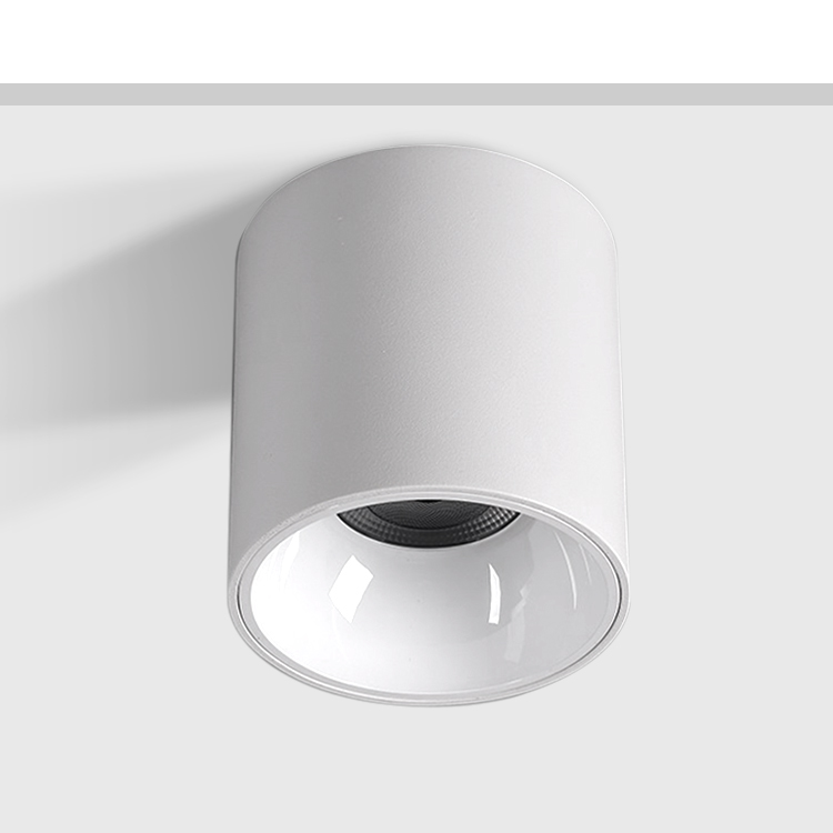 White IBDL233 cylindrical surface mounted LED downlight with reflective trim